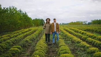 Agricoltura - finanziamenti ISMEA per imprenditoria giovanile