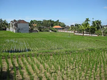 Agricoltura - Foto di yogipogi da Pixabay