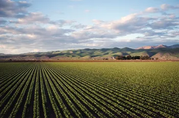 Agricoltura - Photo credit: Foto di Tim Mossholder da Pexels
