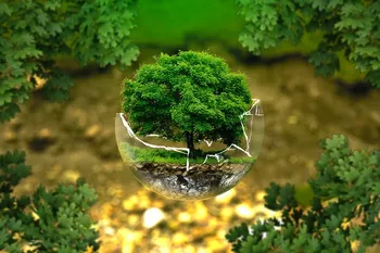 Bando Energia Regione Lazio - Foto di AndreasAux da Pixabay