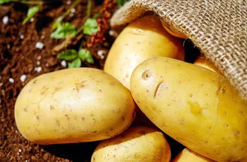 PAC: le istruzioni AGEA per gli interventi settoriali Ortofrutta e Patate