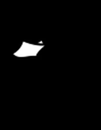 Tidyman