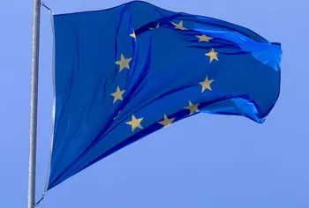 European Union Flag - foto di Phl59