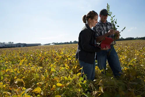 Ripartono i finanziamenti Ismea per autoimprenditorialità giovanile e femminile in agricoltura