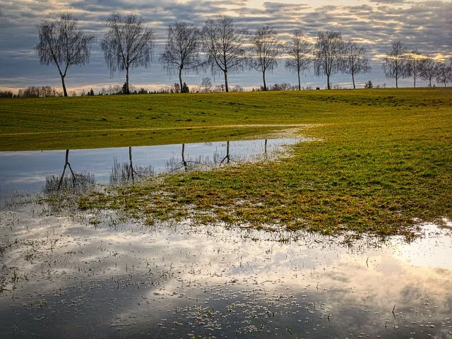 Assicurazioni agricole: proroga per il Fondo di mutualità nazionale AGRICAT