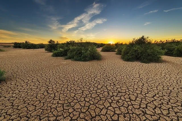 Come ottenere i fondi europei della Mission Soil di Horizon Europe