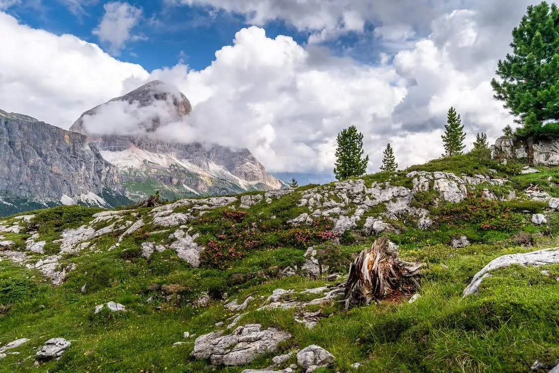 Interreg Alcotra: via al nuovo bando per progetti di cooperazione Italia-Francia