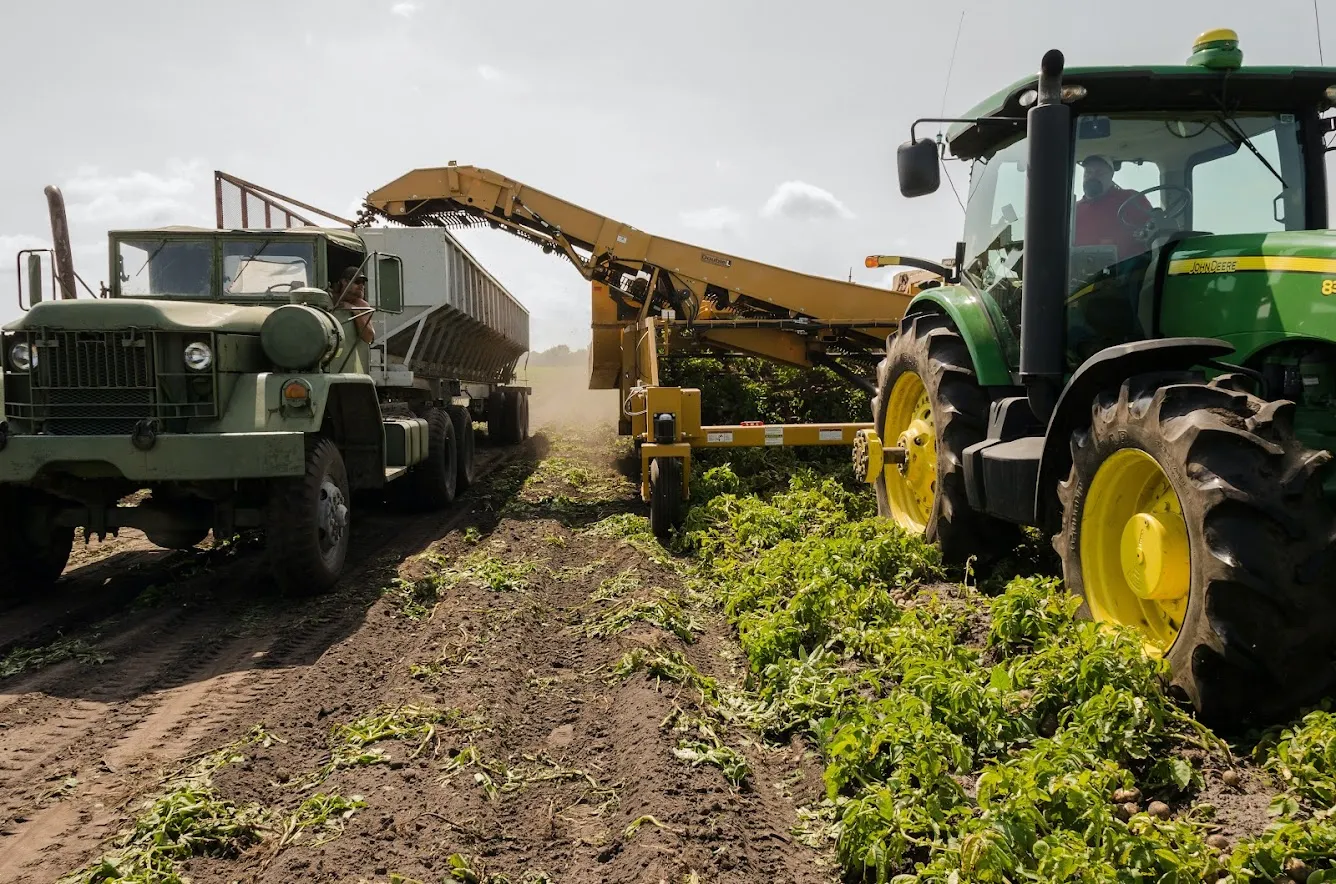 Fondo Innovazione Agricoltura, via alla convalida delle domande di contributo