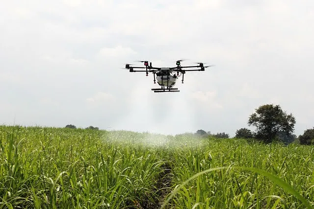 Agritech: fondi PNRR per ricerca e innovazione nel settore agroalimentare