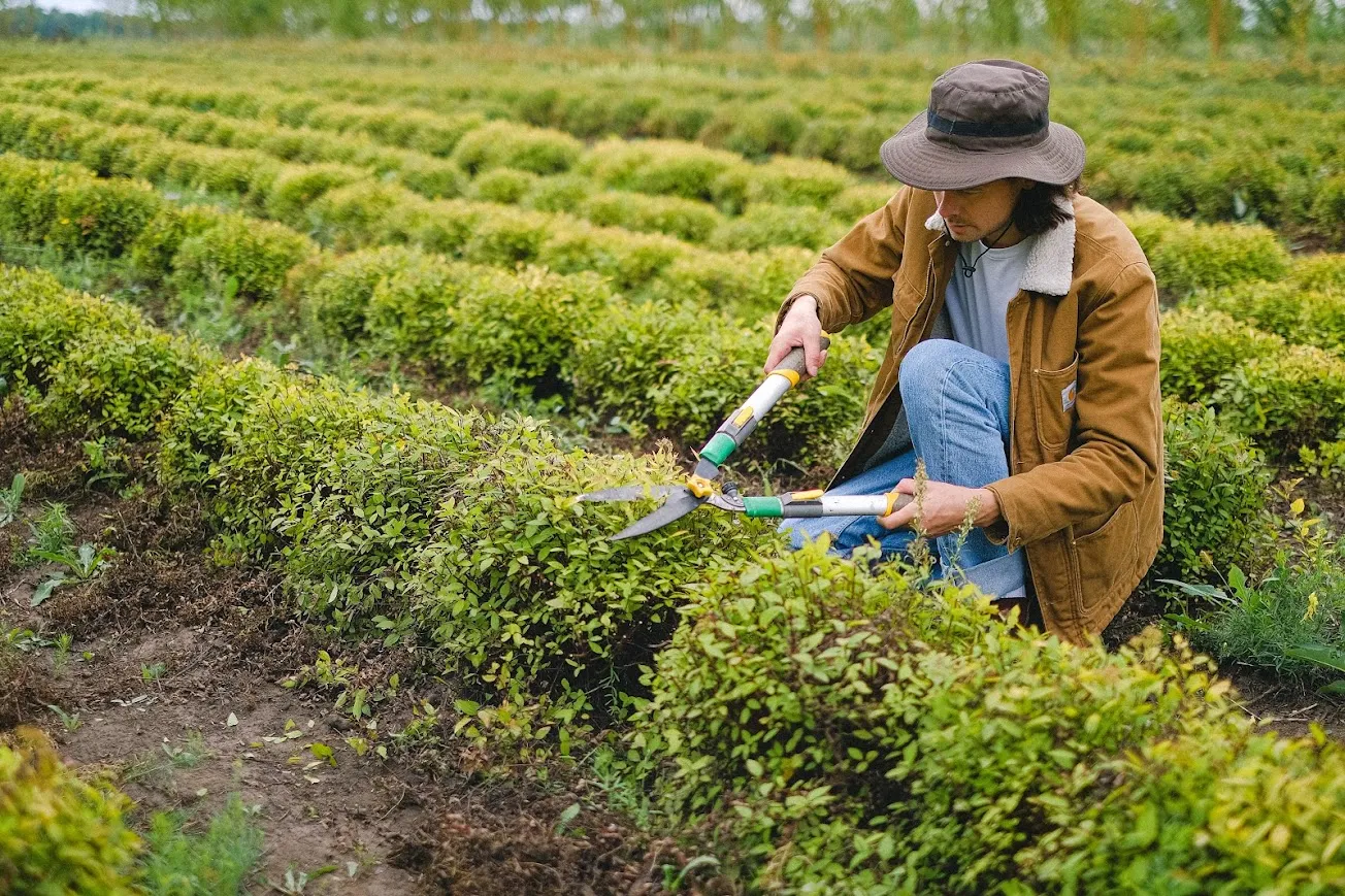 Puglia: 50 milioni per contributi a favore degli investimenti delle aziende agricole