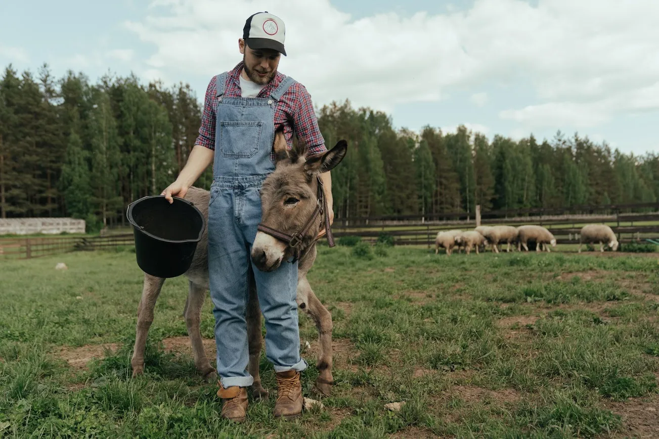 Dal FEASR al Fondo agricoltura biologica, quali finanziamenti per i biodistretti?