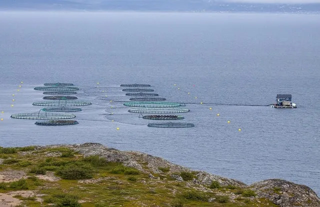 Acquacoltura e pesca sostenibile al centro di Acquafarm 2024