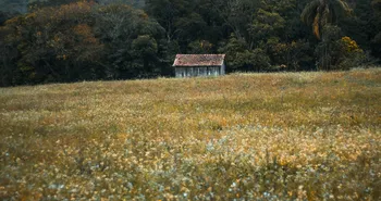 World Bank and Brazilian Governments unite for the Brazil’s Agrifood System Program