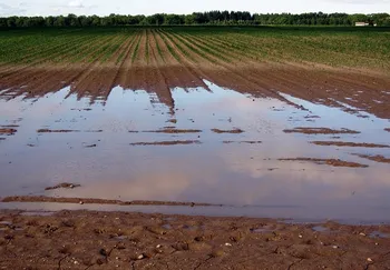 Calamità naturali: aiuti forfettari fino a 42 mila euro per le imprese agricole