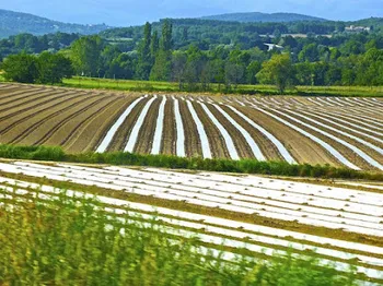 Friuli Venezia Giulia: abbattimento del costo delle commissioni dovute sulle garanzie rilasciate dai Confidi o ISMEA - Lr n. 25-2018